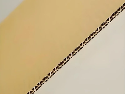 عرض عينة