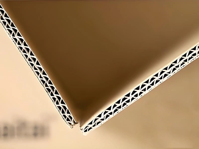 عرض عينة