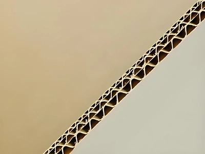 عرض عينة